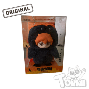 HAIKYU!! HINATA POPMART Original